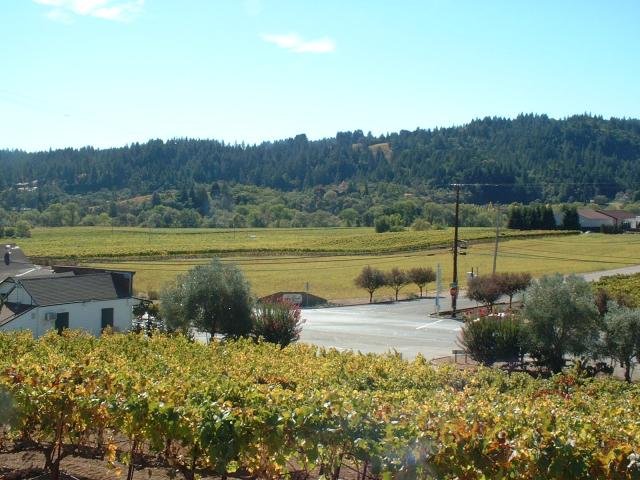 Dry Creek Valley geography — Sonoma wine labor climate around eStCru’s stress window.